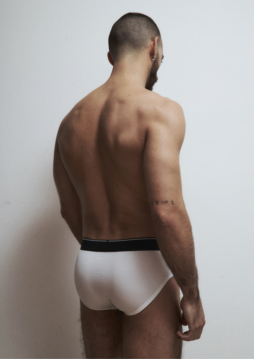 Brief